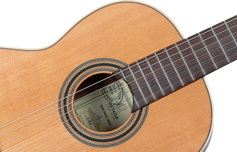 Traditional 4/4 + Pro Gig Bag