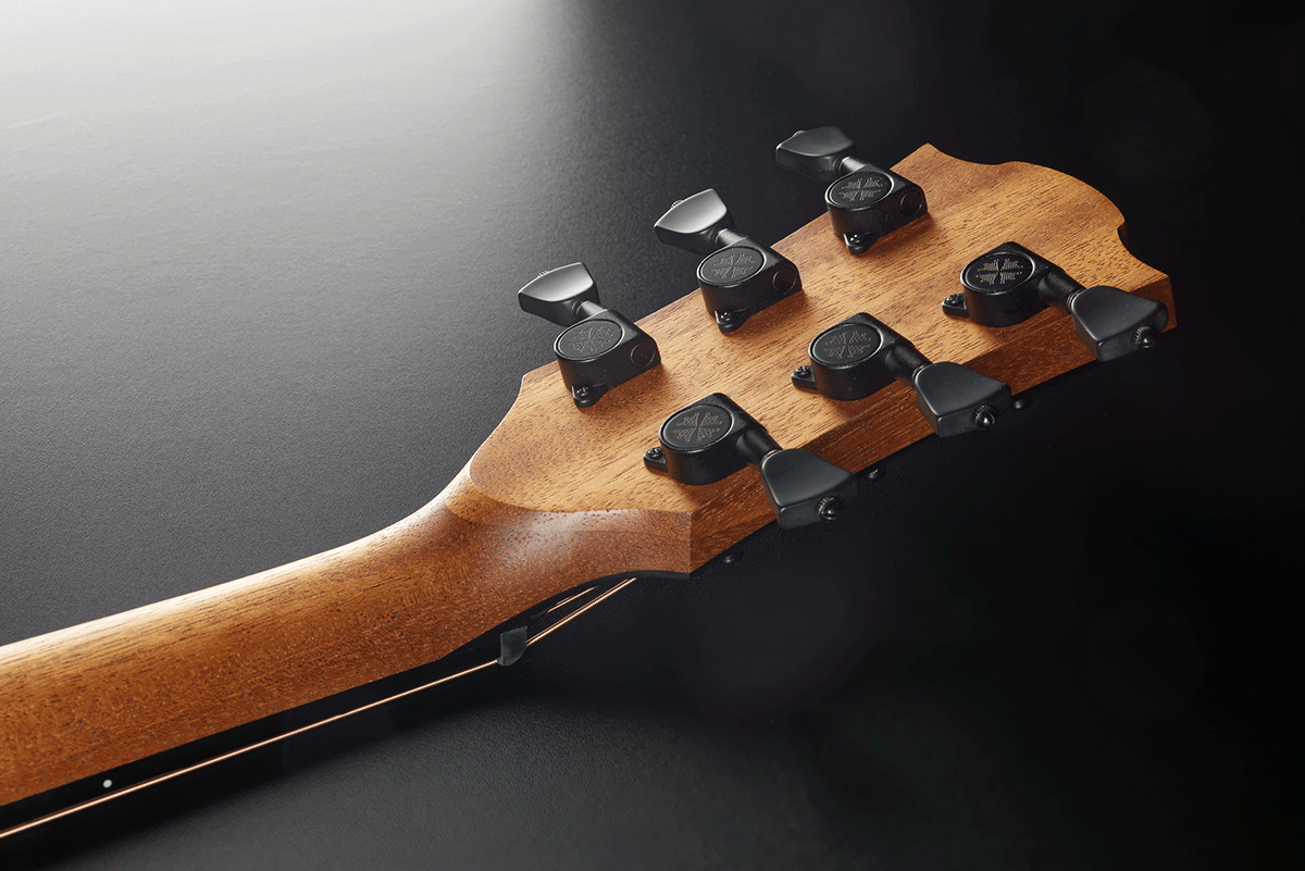 Sauvage Dreadnought Electro Ctw