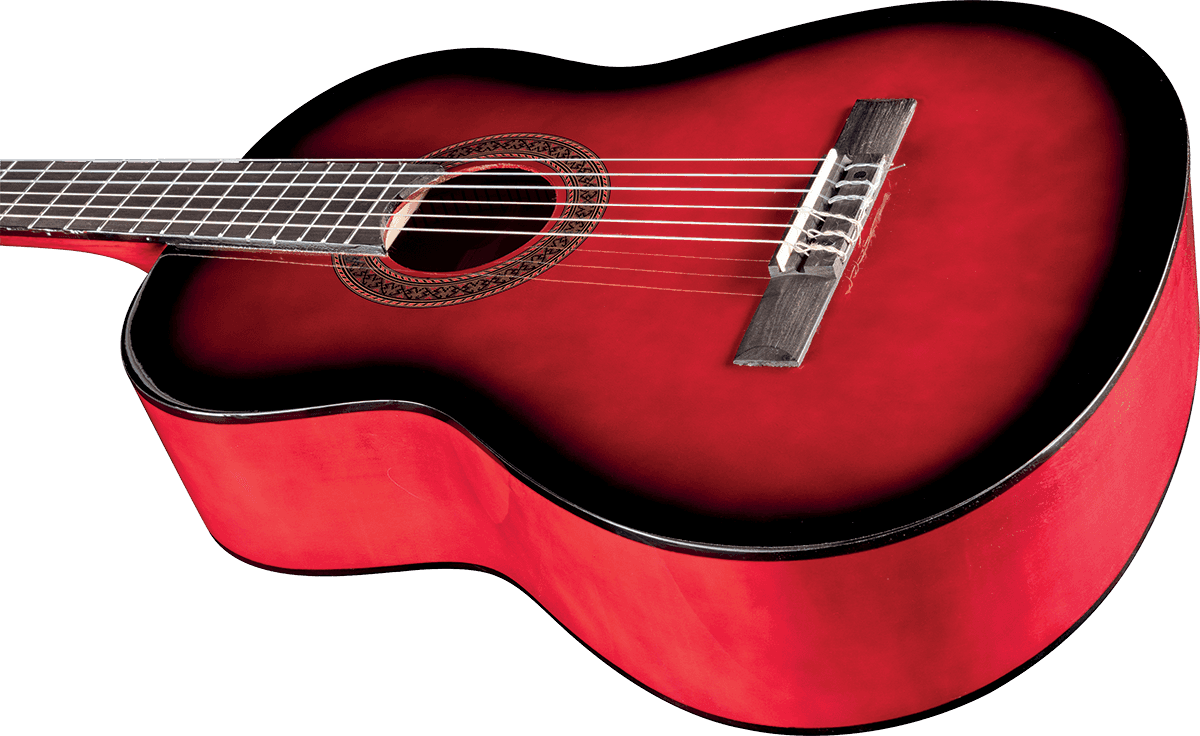 CS-10 4/4 Red Burst + Housse