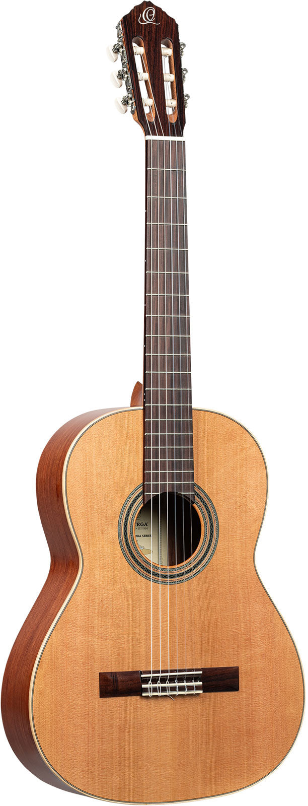 Traditional 4/4 + Pro Gig Bag