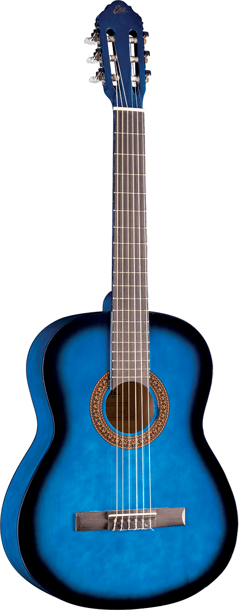 CS-10 4/4 Blue Burst + Housse