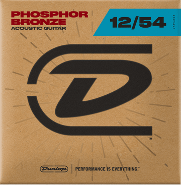 DAP1254 Phosphor Bronze Medium/light 12-54