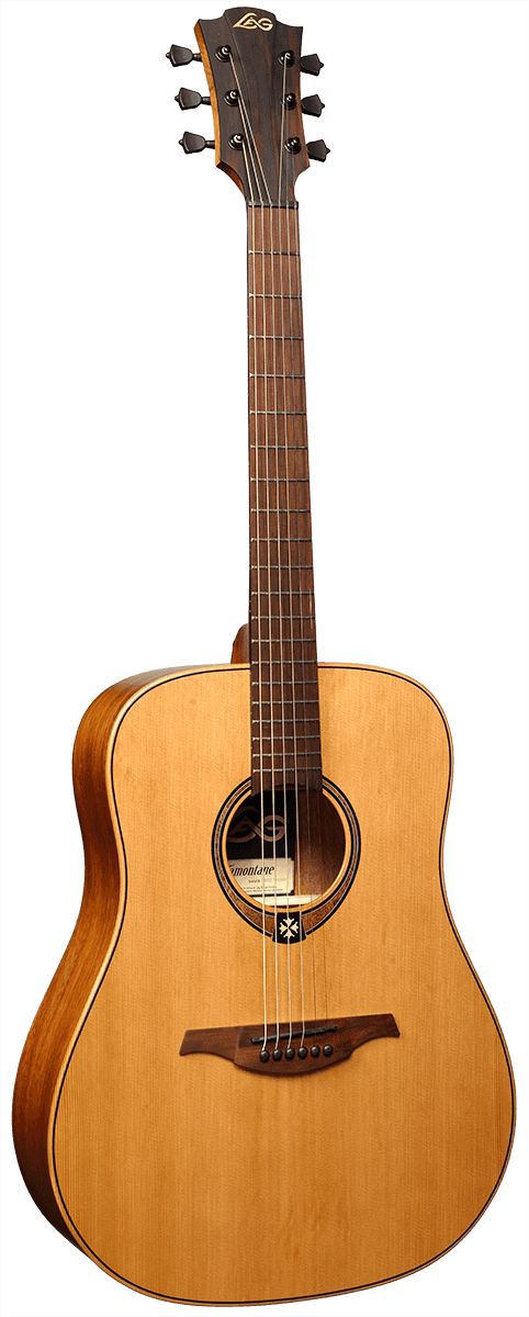Tramontane T170D Dreadnought