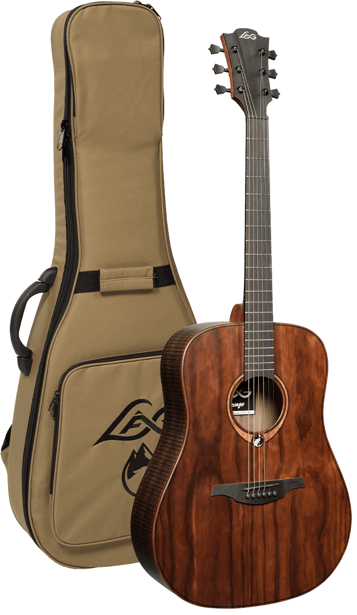 Sauvage Dreadnought avec housse