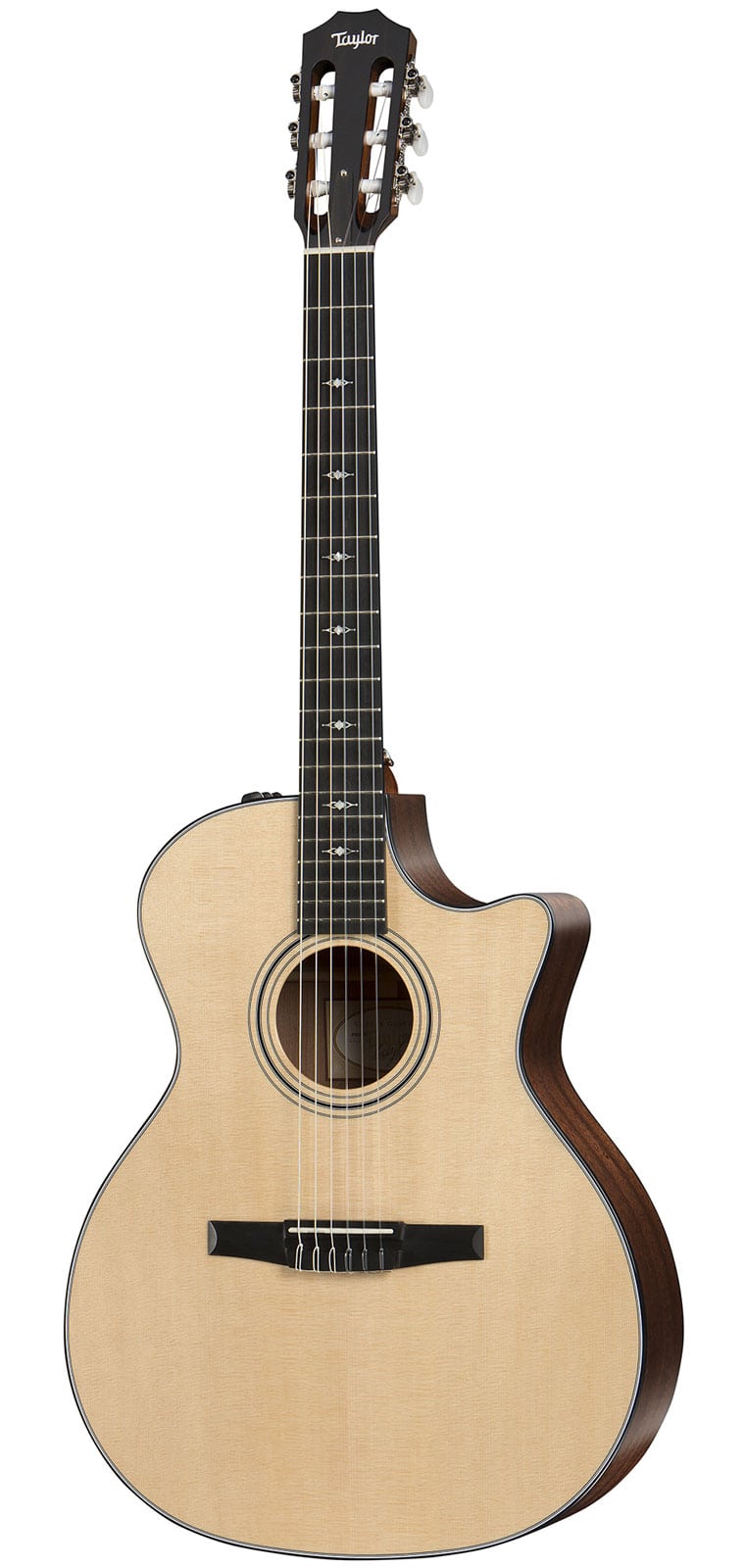 TAYLOR GUITARS 314CE-N GRAND AUDITORIUM