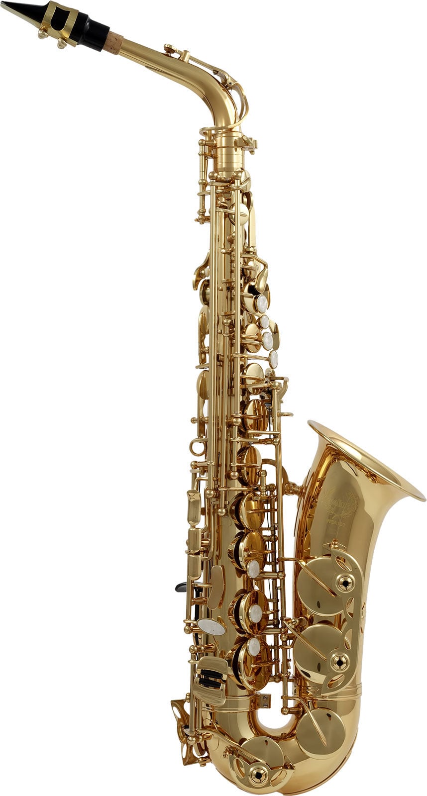 WOODBRASS WSA100 - ALT EB LACKIERT