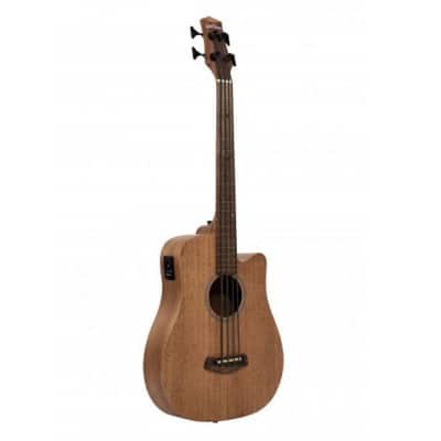 Acoustic bass and acoustic electric bass