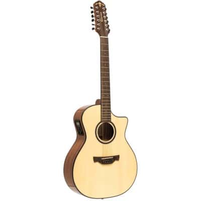 12-string acoustic/electric