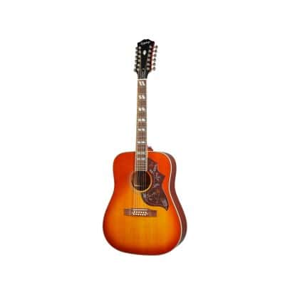 12-string acoustic/electric