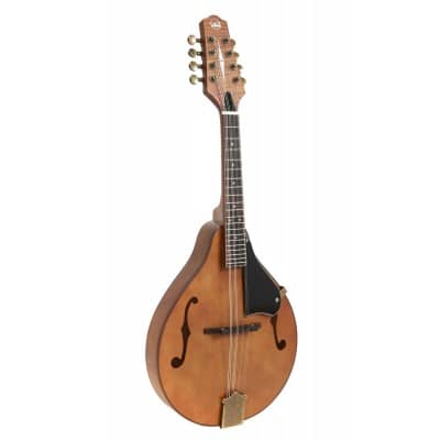 Mandolins and Bouzoukis