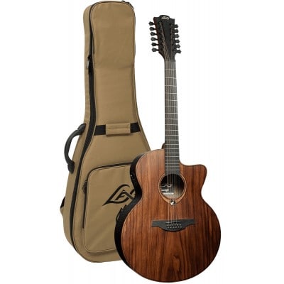 12-string acoustic/electric