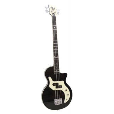 4-string electric bass