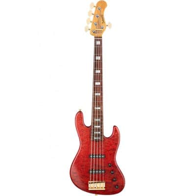 5-string electric bass