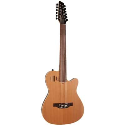 12-string acoustic/electric