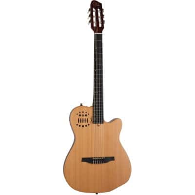 Nylon string western ac/elec