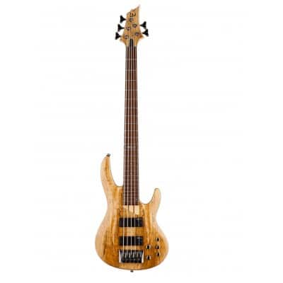 5-string electric bass