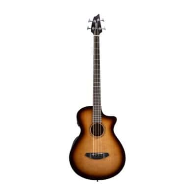 Acoustic bass and acoustic electric bass