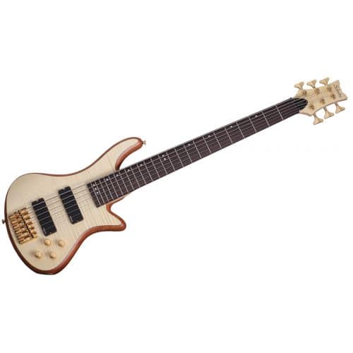 6-string and more electric bass