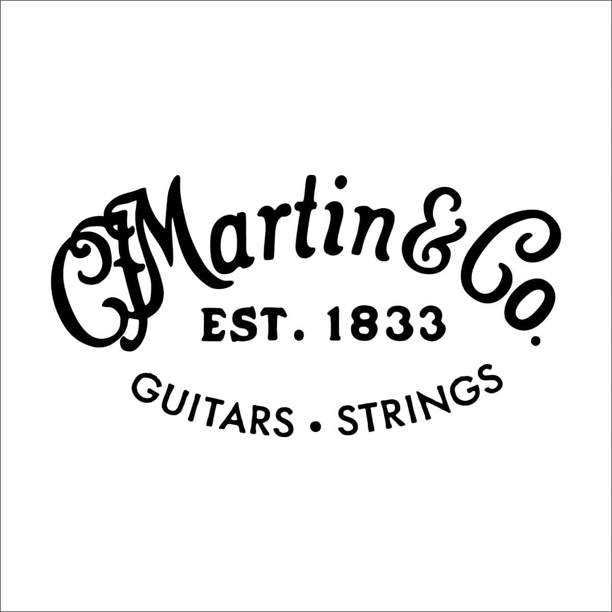 MARTIN & CO M10HTT AUTHENTIC ACOUSTIC SP RETAIL BY 12 PIECES ROPE UNIT SP STEEL