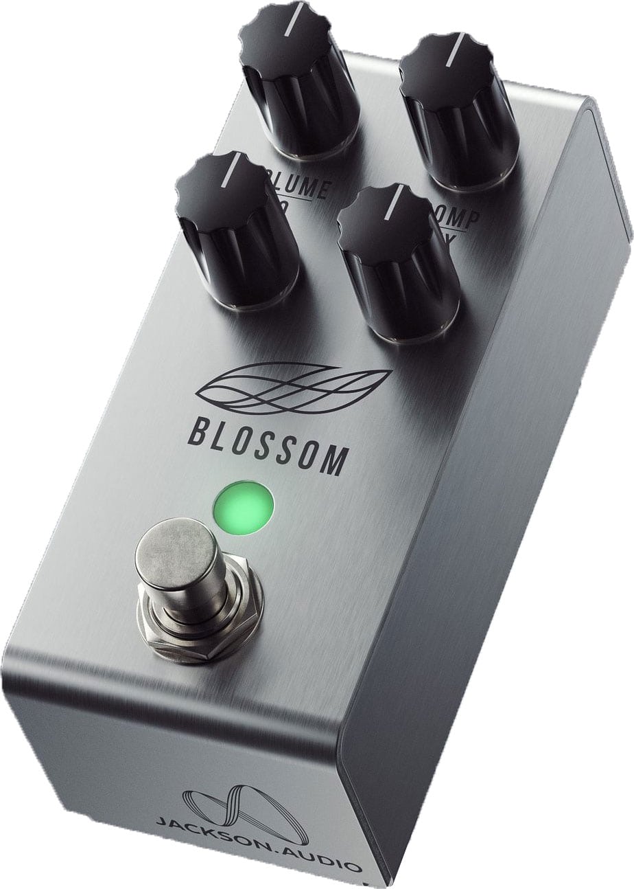 JACKSON AUDIO BLOSSOM