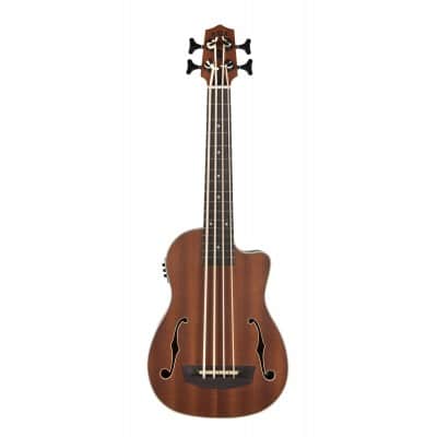 Bass ukulele