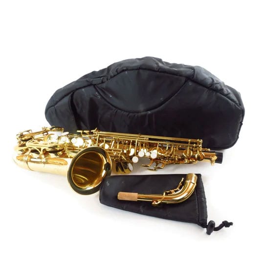 FUSION BAGS SLEEVE SAX ALTO BLACK