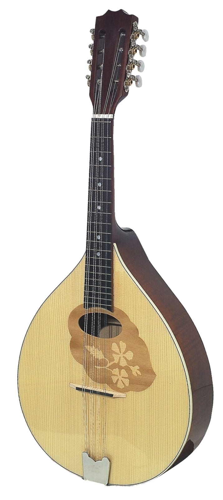 GEWA MANDOLA PRO ARTE BRILLANTE