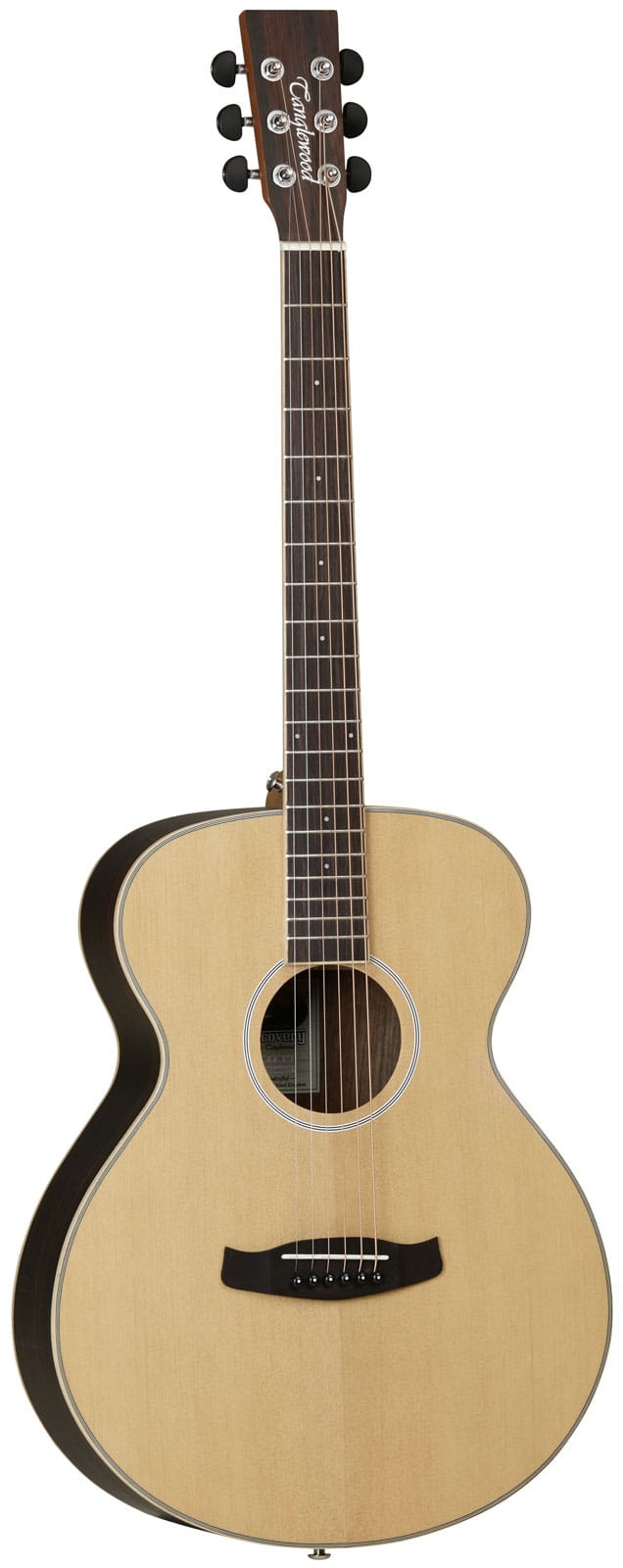 TANGLEWOOD DBT F EB LH