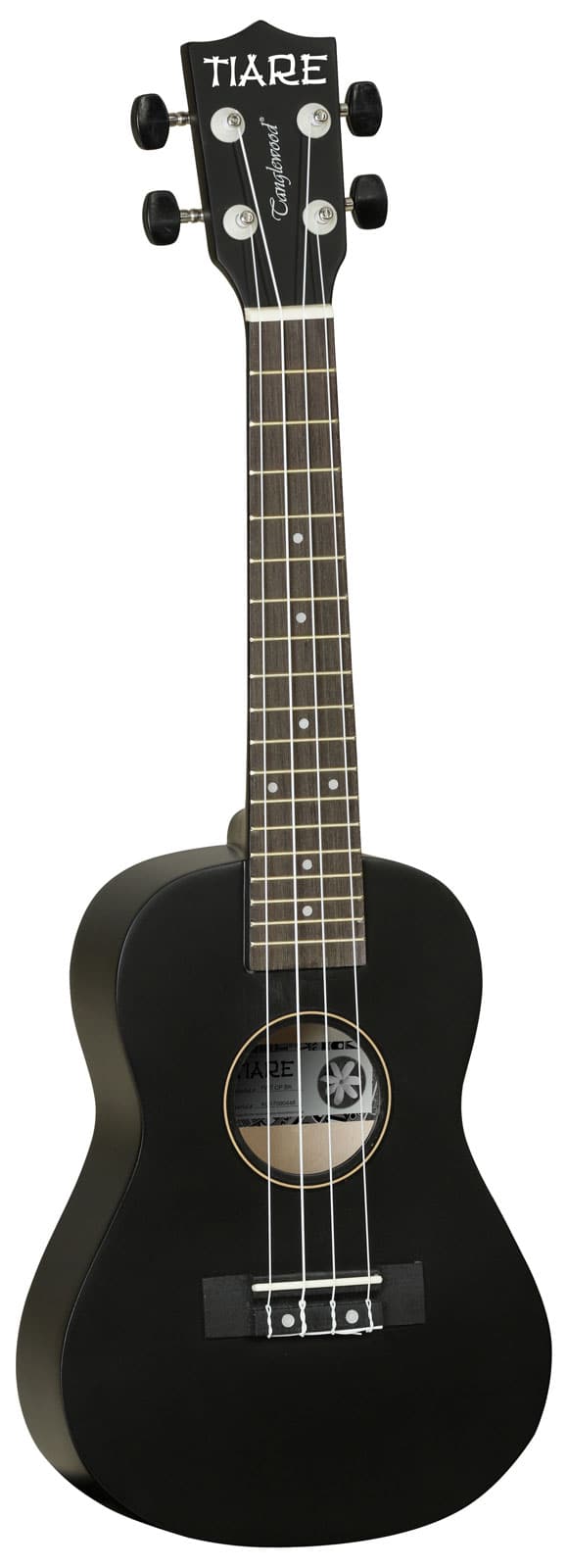 TANGLEWOOD TWT CP BK