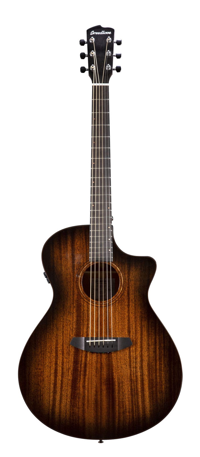 BREEDLOVE WILDWOOD PRO CONCERTO CE