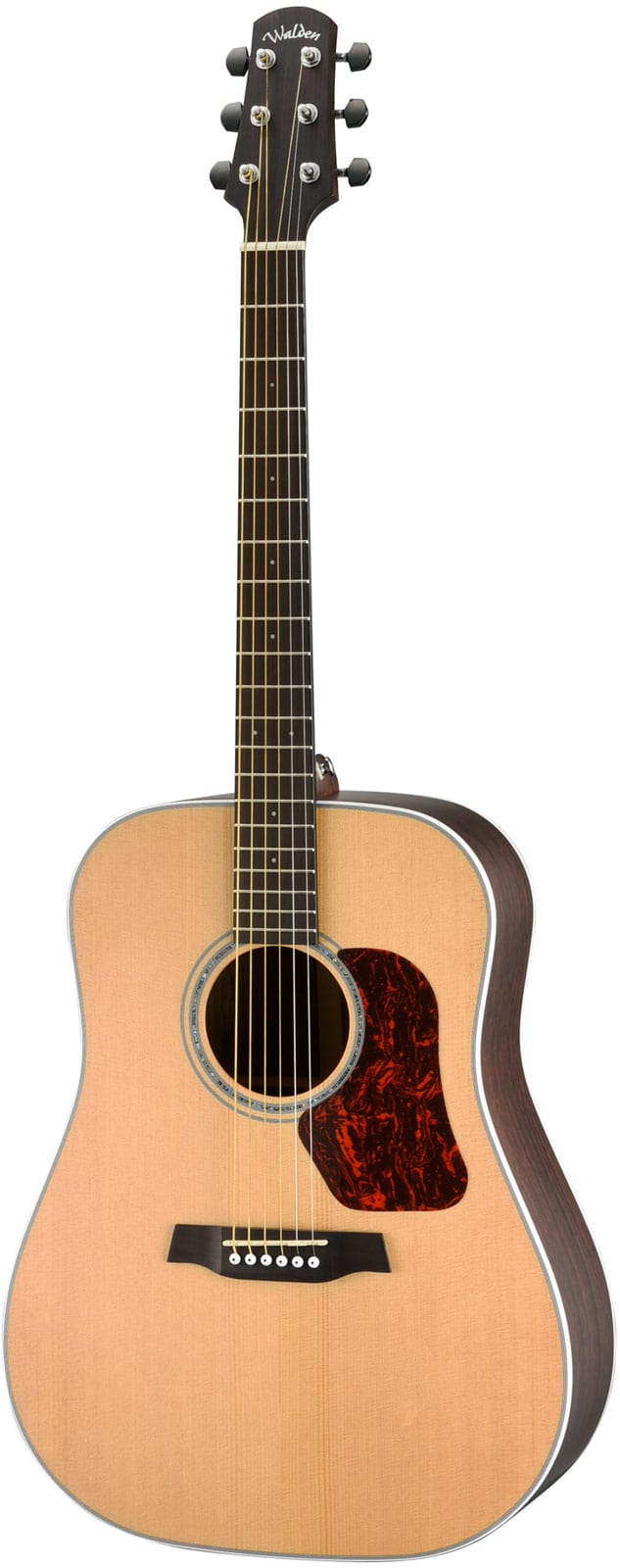 WALDEN DREADNOUGHT D803EW