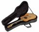 MUSIC ACOUSTIC GUITAR ACOUSTIC DREADNOUGHT GUITAR SOFT CASE BLACK