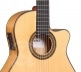 CONSERVATORY 7FC CW E8 FLAMENCO + 9270 BAM ICONIC CASE