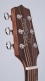 PACK GLN12ENS 12 NEX SPRUCE-MAHOGANY