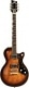 FANTOM S TOBACCO BURST