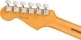 AMERICAN PROFESSIONAL II STRATOCASTER RW, ROASTED PINE