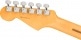 AMERICAN PROFESSIONAL II STRATOCASTER MN, ROASTED PINE