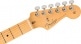 AMERICAN PROFESSIONAL II STRATOCASTER HSS MN, ROASTED PINE