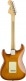 AMERICAN PERFORMER STRATOCASTER RW, HONEY BURST