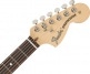 AMERICAN PERFORMER STRATOCASTER HSS RW, 3-COLOR SUNBURST