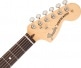 AMERICAN PERFORMER STRATOCASTER HSS RW, AUBERGINE