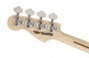 TROY SANDERS PRECISION BASS RW SILVERBURST