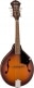 PM-180E MANDOLIN WLNT AGED COGNAC BURST