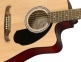 FA-125CE DREADNOUGHT WLNT, NATURAL