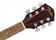 FA-125CE DREADNOUGHT WLNT, NATURAL