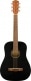 FA-15 3-4 SCALE STEEL WITH GIG BAG WLNT, BLACK