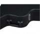 G2420T STREAMLINER HOLLOW BODY CASE