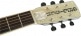 G9220 BOBTAIL ROUND-NECK A.E., MAHOGANY BODY SPIDER CONE RESONATOR GUITAR, FISHMAN NASHVILLE RESONAT