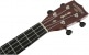 G9121 A.C.E. TENOR UKULELE WITH GIG BAG OVKGL, ACOUSTIC-CUTAWAY-ELECTRIC, FISHMAN KULA PICKUP, HONEY