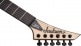 PRO SIGNATURE CHRISTIAN ANDREU RHOADS RRT EBO, NATURAL